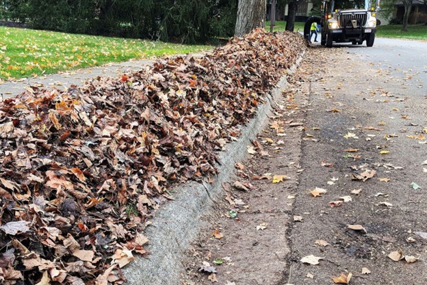 Leaves piled in path along sidewalk
